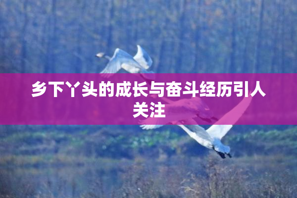 乡下丫头的成长与奋斗经历引人关注