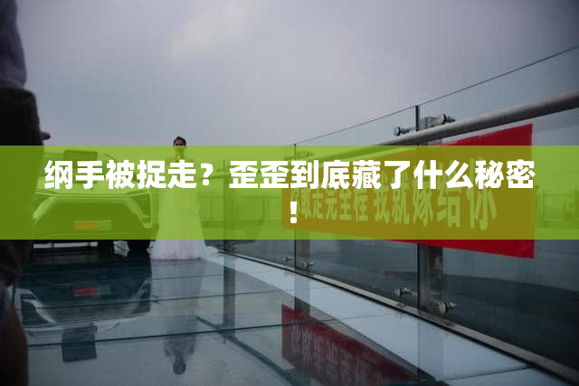 纲手被捉走？歪歪到底藏了什么秘密！