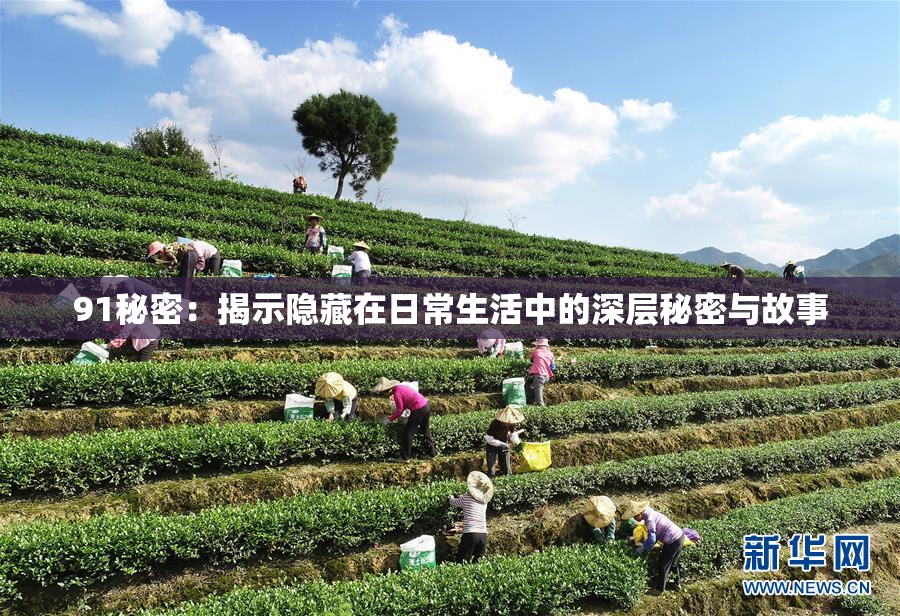 91秘密：揭示隐藏在日常生活中的深层秘密与故事