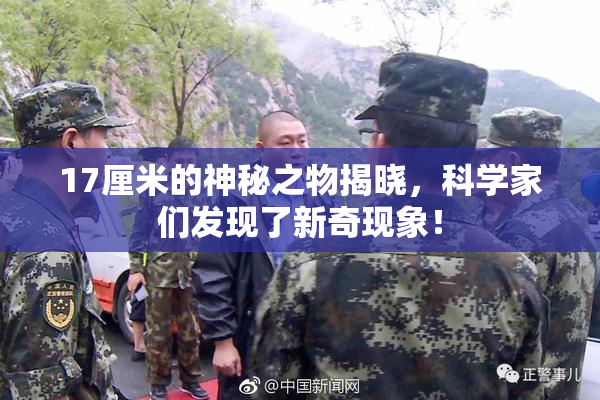 17厘米的神秘之物揭晓，科学家们发现了新奇现象！