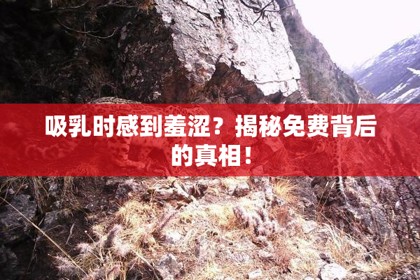 吸乳时感到羞涩？揭秘免费背后的真相！