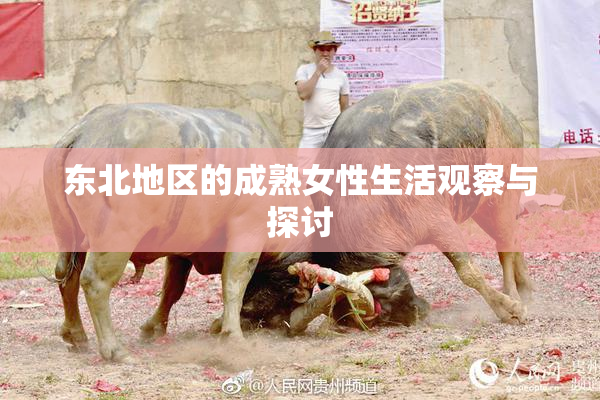 东北地区的成熟女性生活观察与探讨