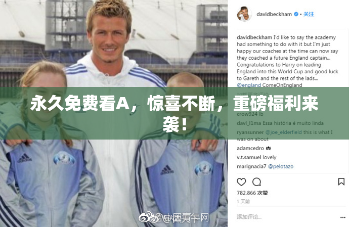 永久免费看A，惊喜不断，重磅福利来袭！
