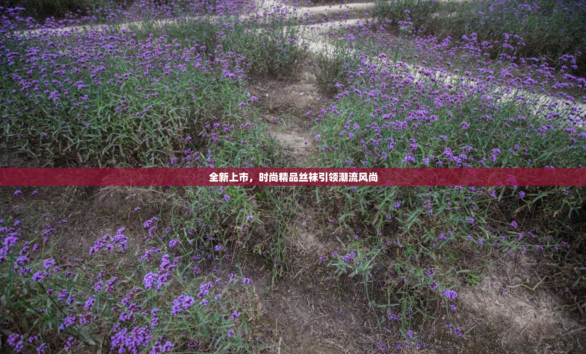 全新上市，时尚精品丝袜引领潮流风尚