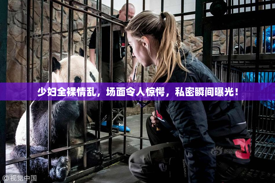 少妇全裸情乱，场面令人惊愕，私密瞬间曝光！