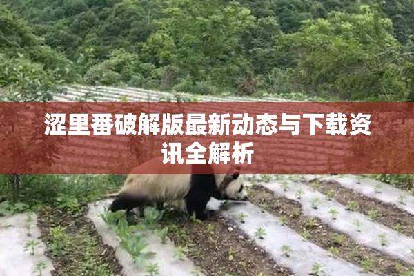 涩里番破解版最新动态与下载资讯全解析