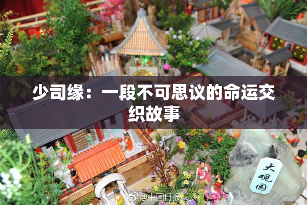 少司缘：一段不可思议的命运交织故事