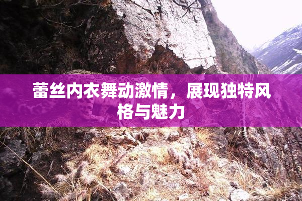 蕾丝内衣舞动激情，展现独特风格与魅力