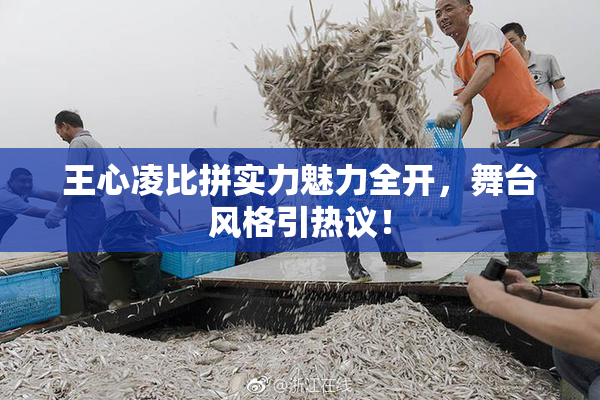 王心凌比拼实力魅力全开，舞台风格引热议！