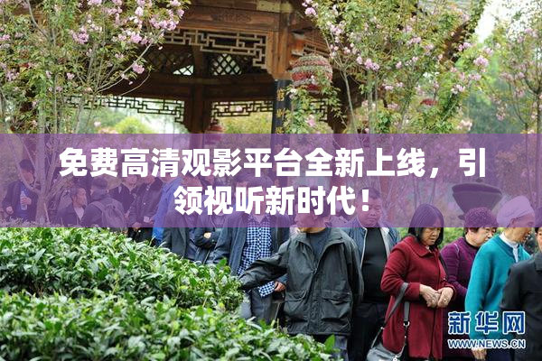 免费高清观影平台全新上线，引领视听新时代！