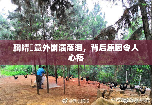 鞠婧祎意外崩溃落泪，背后原因令人心疼