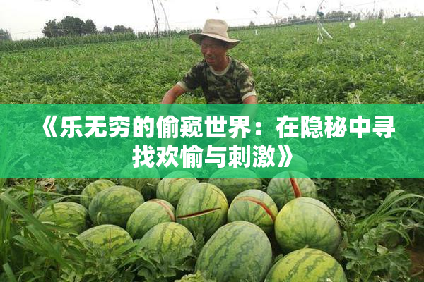 《乐无穷的偷窥世界：在隐秘中寻找欢愉与刺激》