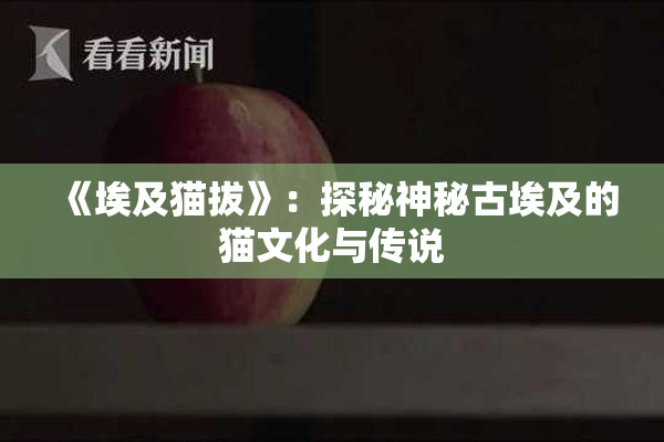 《埃及猫拔》：探秘神秘古埃及的猫文化与传说