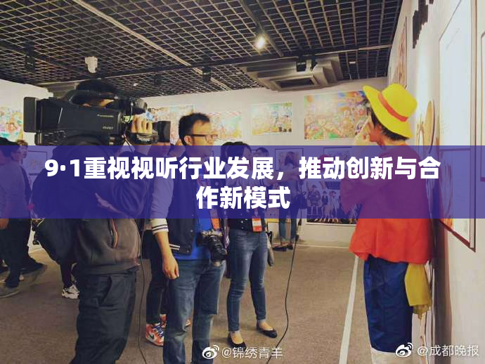 9·1重视视听行业发展，推动创新与合作新模式