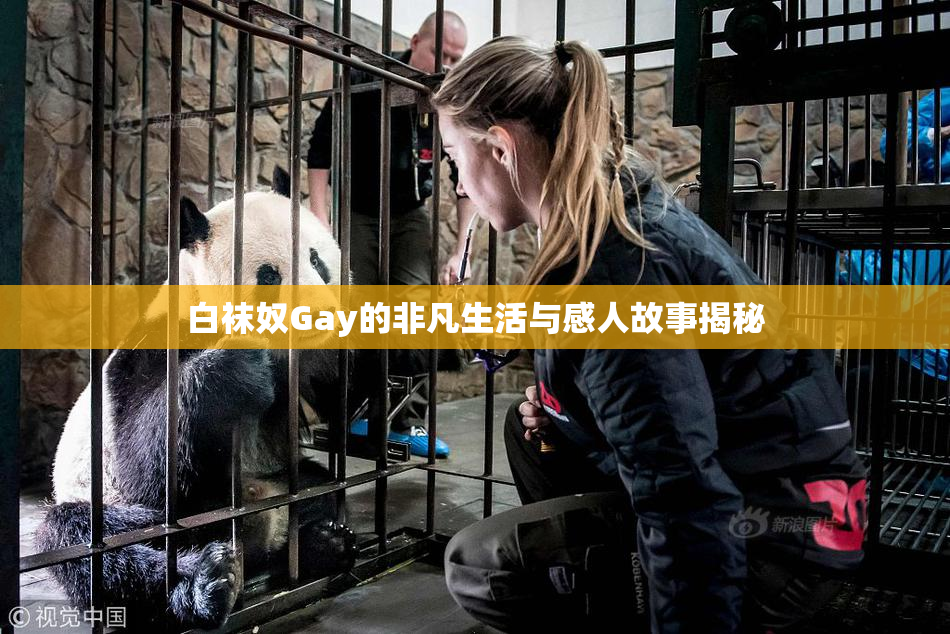 白袜奴Gay的非凡生活与感人故事揭秘