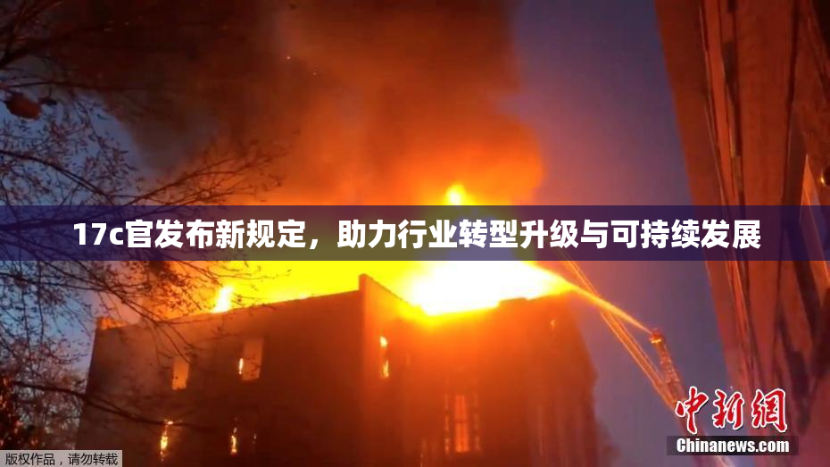 17c官发布新规定，助力行业转型升级与可持续发展
