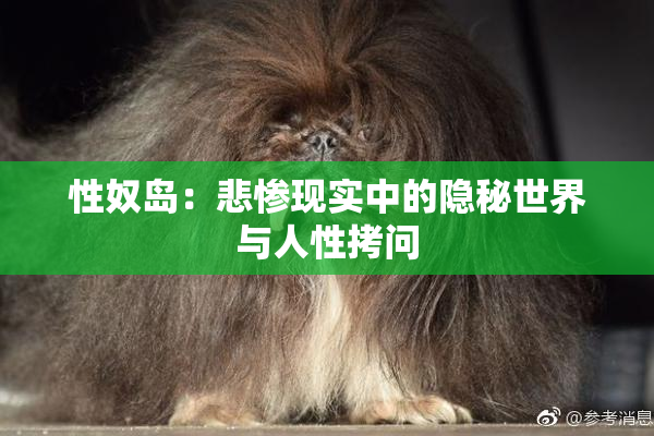 性奴岛：悲惨现实中的隐秘世界与人性拷问