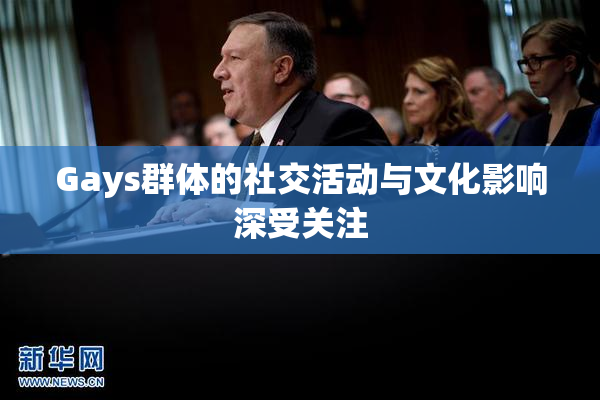 Gays群体的社交活动与文化影响深受关注