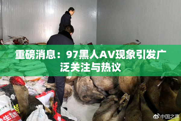 重磅消息：97黑人AV现象引发广泛关注与热议