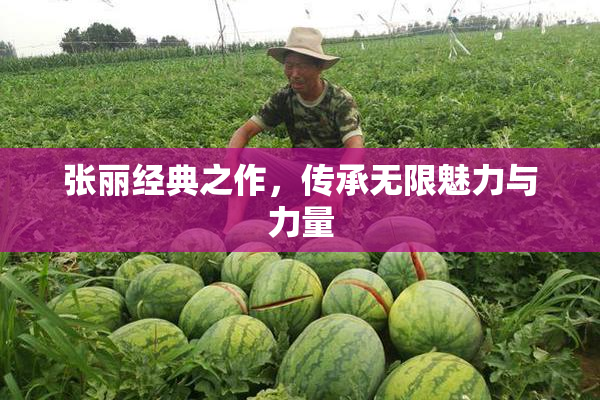 张丽经典之作，传承无限魅力与力量
