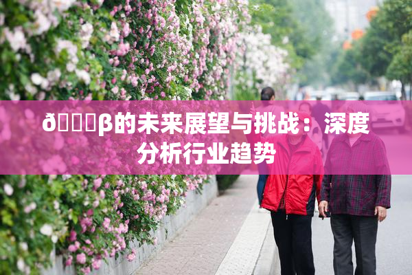 🔞β的未来展望与挑战：深度分析行业趋势