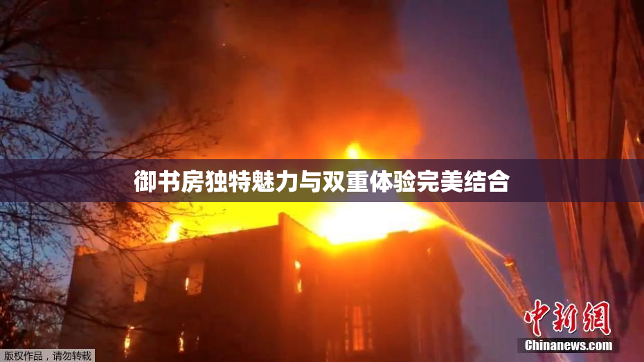 御书房独特魅力与双重体验完美结合