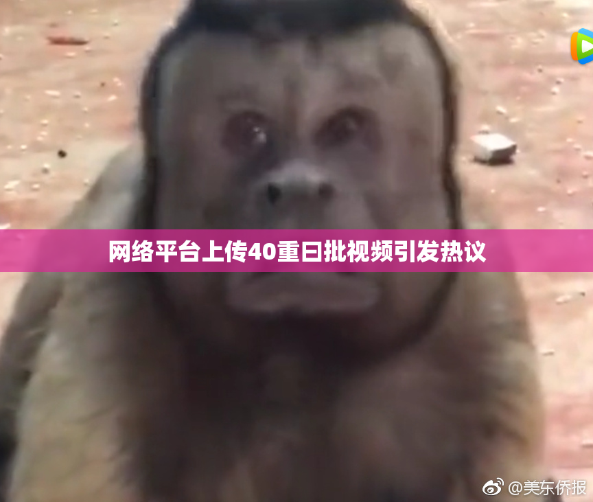 网络平台上传40重曰批视频引发热议