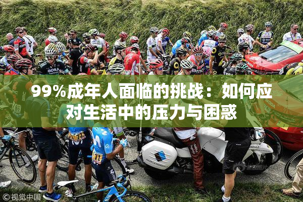 99%成年人面临的挑战：如何应对生活中的压力与困惑