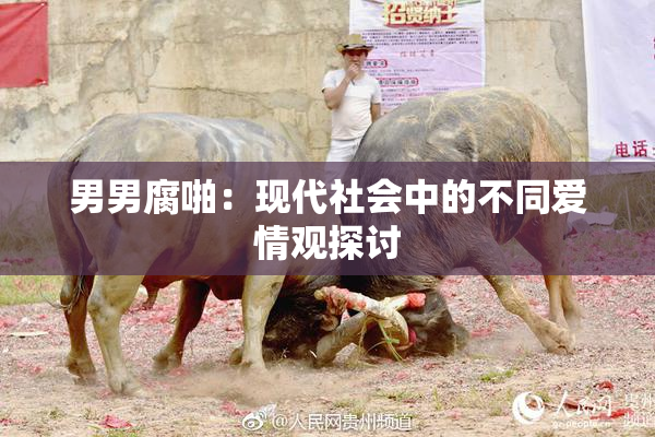 男男腐啪：现代社会中的不同爱情观探讨