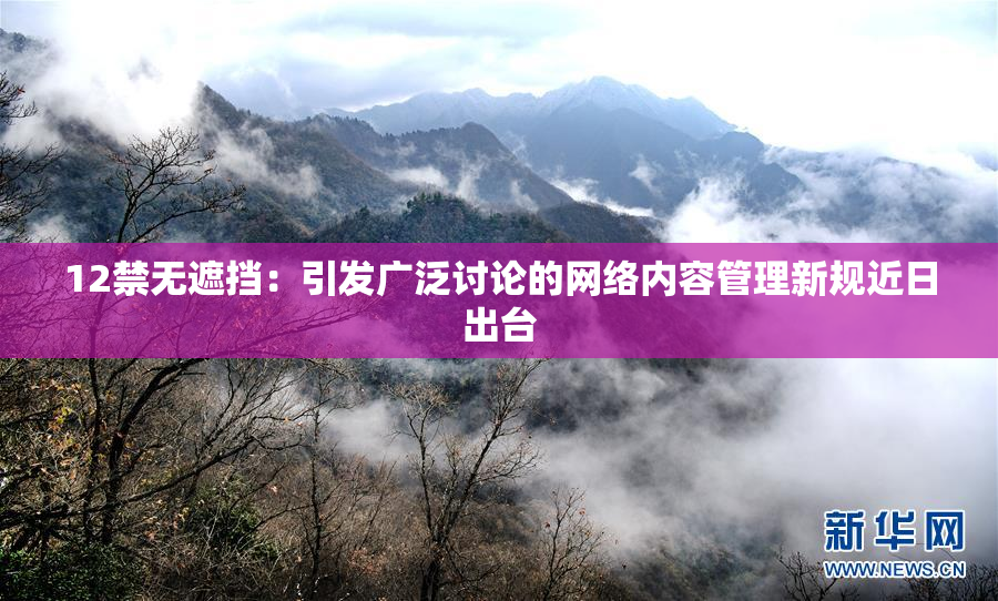 12禁无遮挡：引发广泛讨论的网络内容管理新规近日出台