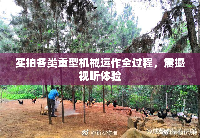 实拍各类重型机械运作全过程，震撼视听体验