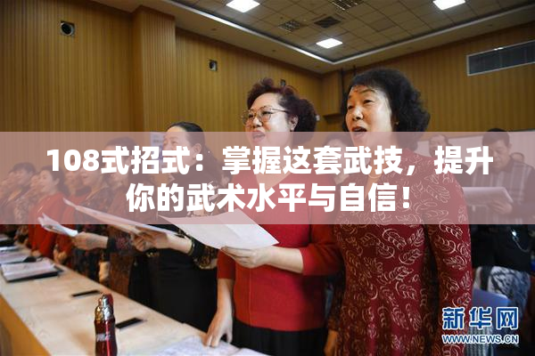 108式招式：掌握这套武技，提升你的武术水平与自信！