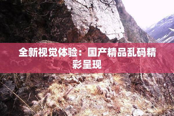 全新视觉体验：国产精品乱码精彩呈现