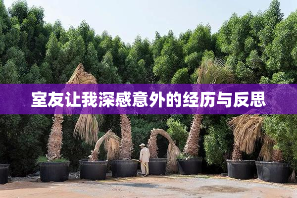 室友让我深感意外的经历与反思