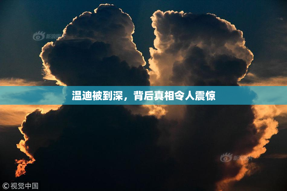 温迪被到深，背后真相令人震惊