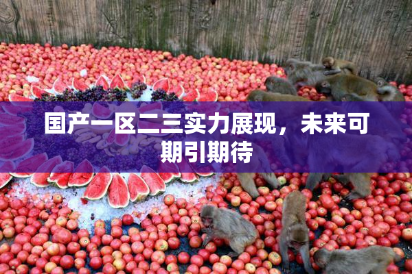 国产一区二三实力展现，未来可期引期待