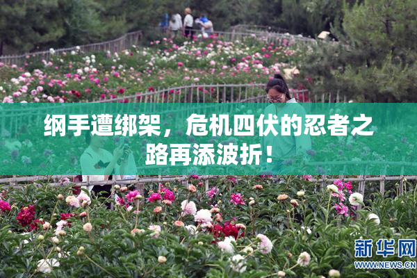 纲手遭绑架，危机四伏的忍者之路再添波折！