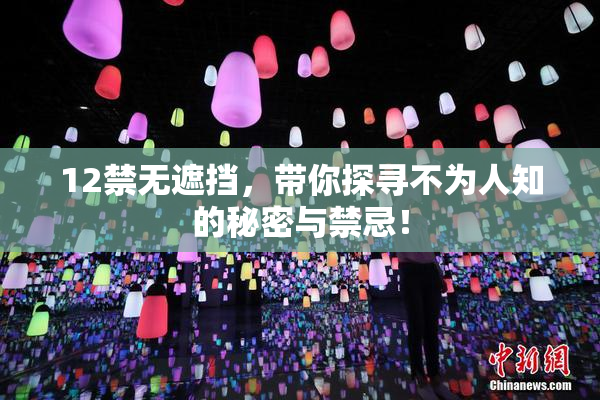 12禁无遮挡，带你探寻不为人知的秘密与禁忌！