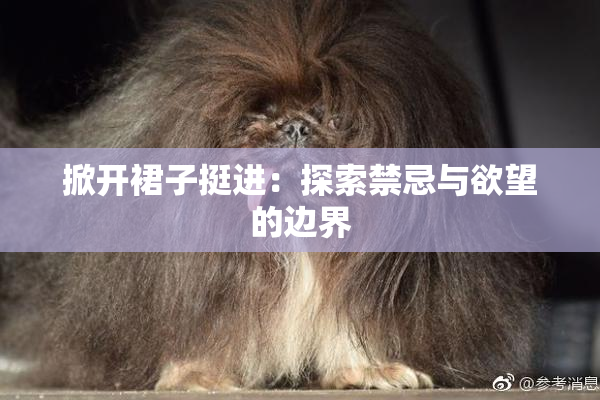 掀开裙子挺进：探索禁忌与欲望的边界