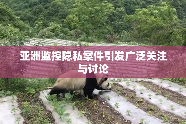亚洲监控隐私案件引发广泛关注与讨论