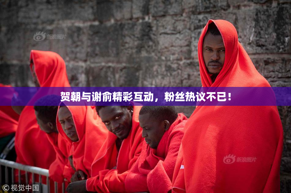 贺朝与谢俞精彩互动，粉丝热议不已！