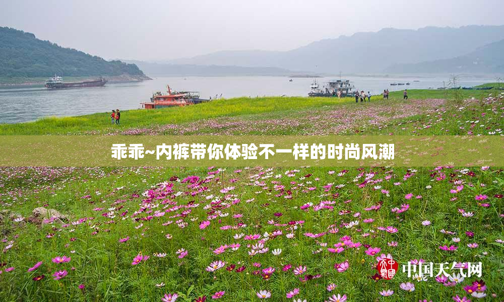 乖乖~内裤带你体验不一样的时尚风潮