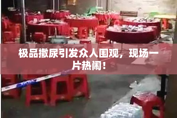 极品撒尿引发众人围观，现场一片热闹！