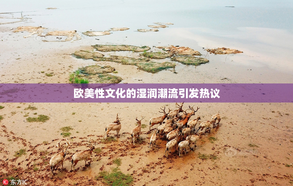 欧美性文化的湿润潮流引发热议