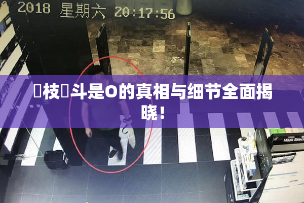 狛枝凪斗是O的真相与细节全面揭晓！