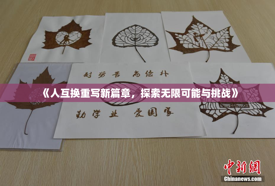 《人互换重写新篇章，探索无限可能与挑战》
