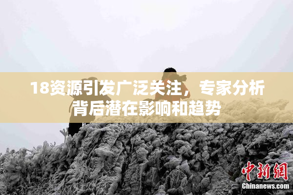 18资源引发广泛关注，专家分析背后潜在影响和趋势