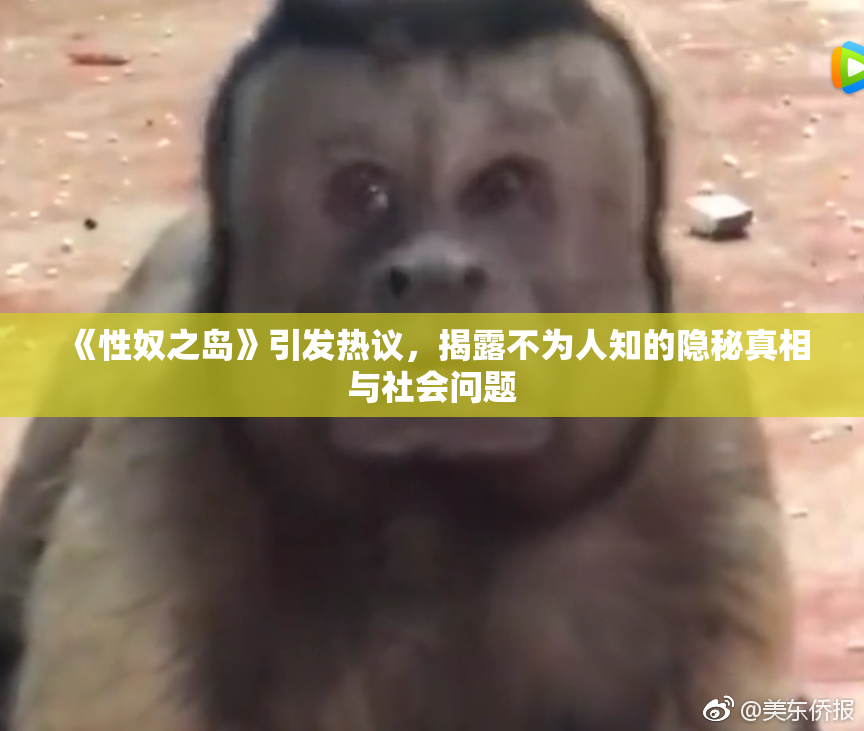 《性奴之岛》引发热议，揭露不为人知的隐秘真相与社会问题