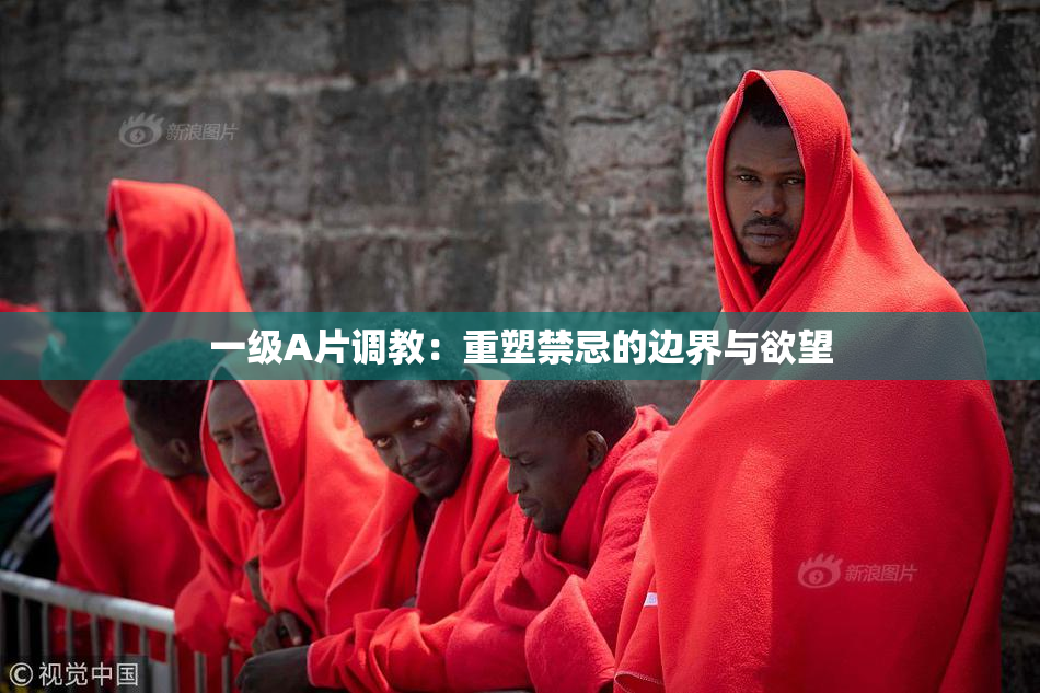 一级A片调教：重塑禁忌的边界与欲望