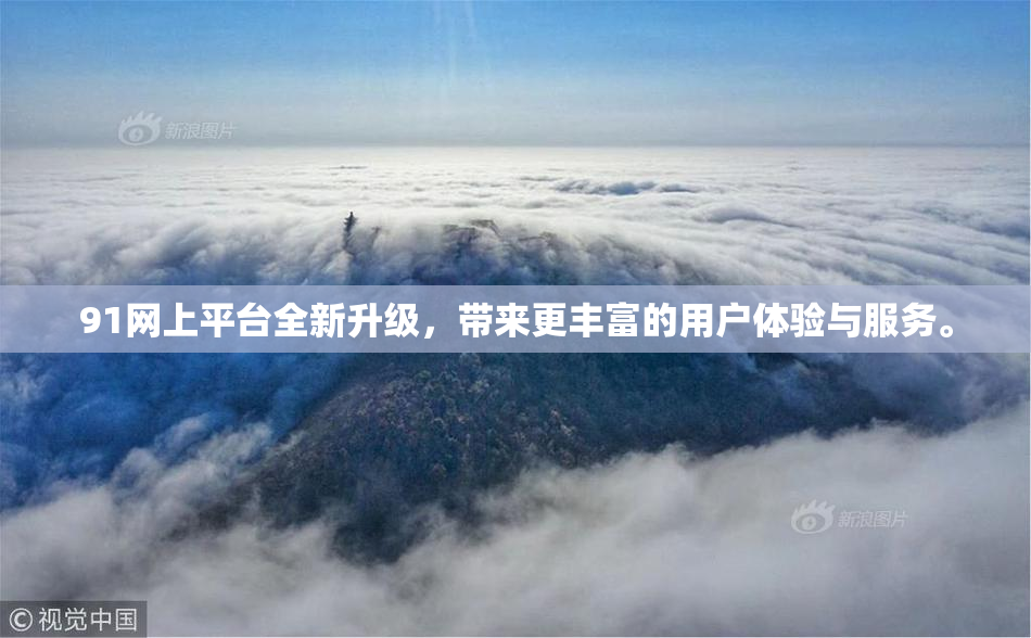 91网上平台全新升级，带来更丰富的用户体验与服务。